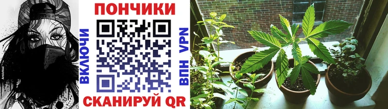 Наркошоп купить Codein  СОЛЬ  ГАШИШ  Марихуана  Меф  Cocaine  Змеиногорск