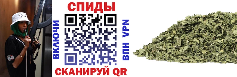 Купить закладки  Змеиногорск  Бутират буратино 