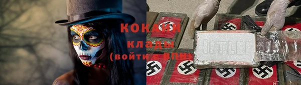 индика Ельня