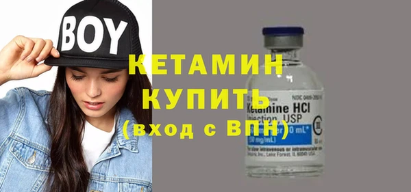 индика Ельня