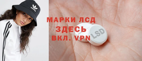 индика Ельня