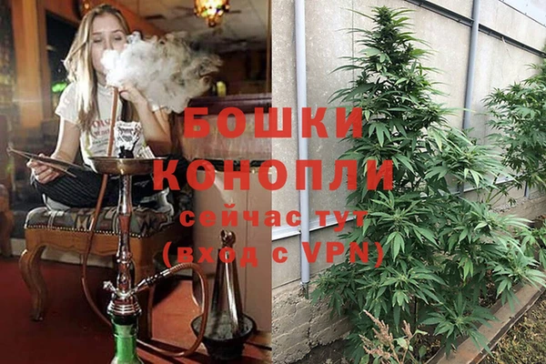 соль курить ск Елизово
