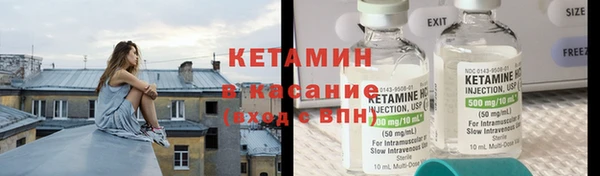 индика Ельня