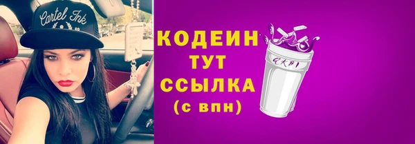индика Ельня