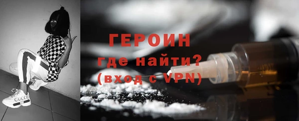 индика Ельня