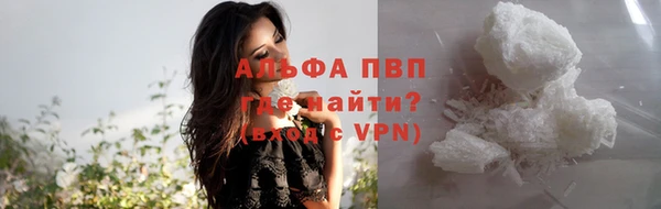 индика Ельня