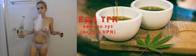 индика Ельня