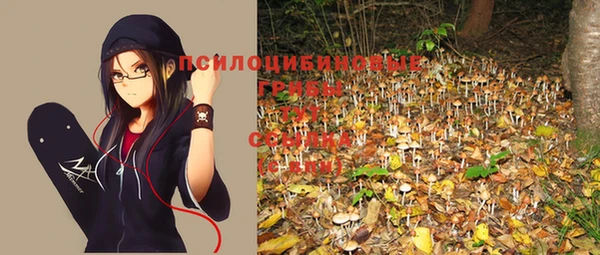 соль курить ск Елизово