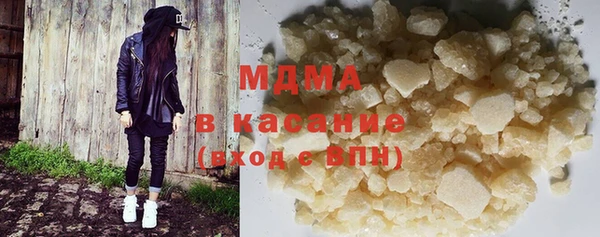 индика Ельня