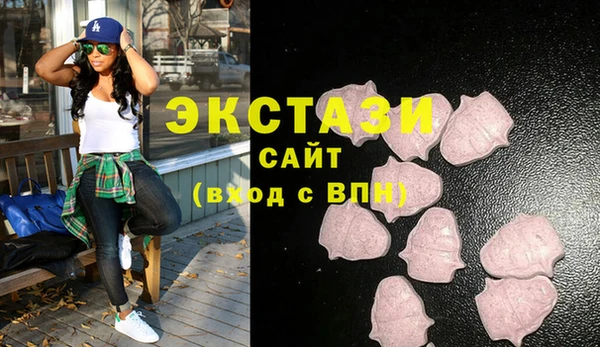 индика Ельня