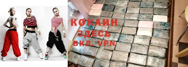 индика Ельня