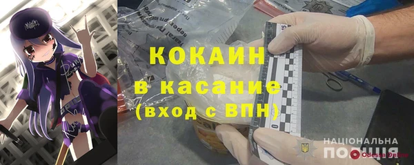 индика Ельня