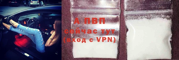индика Ельня