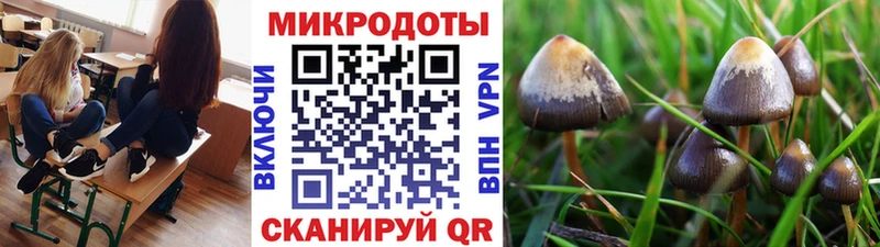 Купить где  Змеиногорск  Галлюциногенные грибы Psilocybine cubensis 