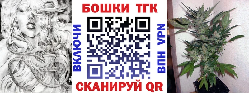 Купить закладки  Змеиногорск  Бошки Шишки планчик 